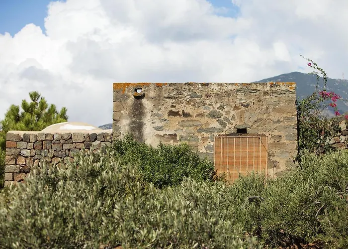 Tenuta Borgia Gospodarstwo wiejskie